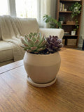 Succulent Planter, Modern Desk Planter, Minimalist Pot with Saucer, 4.75” Indoor Decor