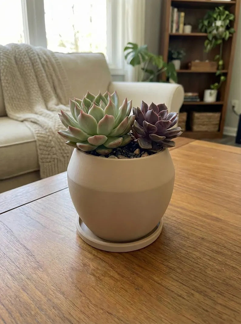Succulent Planter, Modern Desk Planter, Minimalist Pot with Saucer, 4.75” Indoor Decor