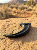 Jurassic Park Inspired Velociraptor Claw Replica, 6” 3D Printed Dinosaur Claw