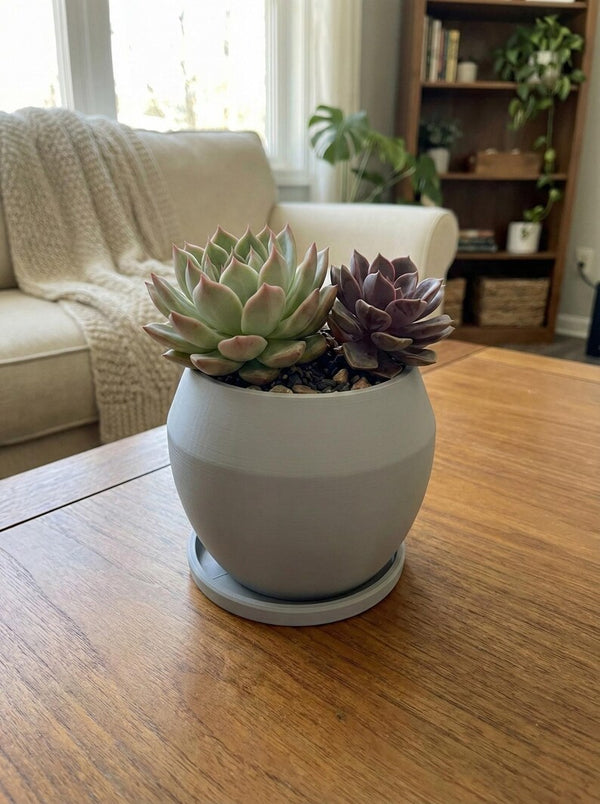 Succulent Planter, Modern Desk Planter, Minimalist Pot with Saucer, 4.75” Indoor Decor