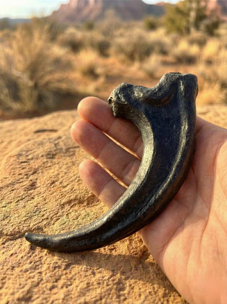 Jurassic Park Inspired Velociraptor Claw Replica, 6” 3D Printed Dinosaur Claw